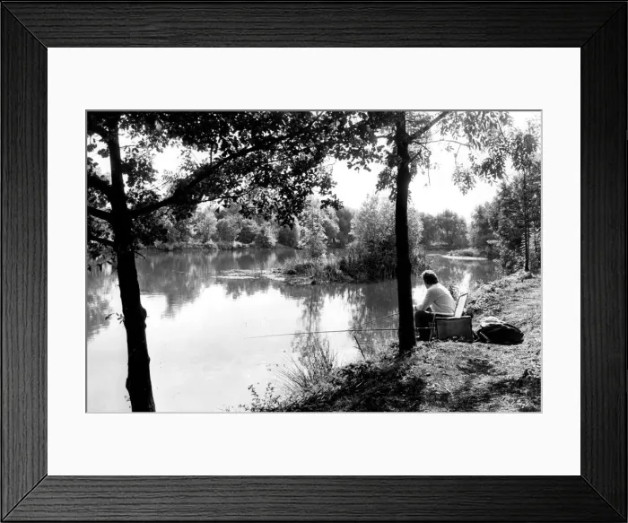 Framed Print : Angling. A fisherman sits patiently waiting for a bite at Kingsbury Water Park Framed Print : Angling. A fisherman sits patiently waiting for a bite at Kingsbury Water Park