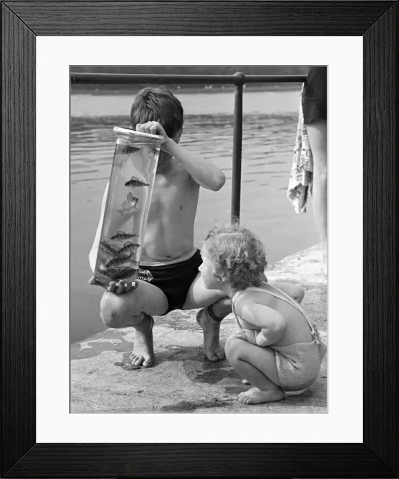 Framed Print : Children seen here with their days catch in a jar on the banks of the River Lea Framed Print : Children seen here with their days catch in a jar on the banks of the River Lea