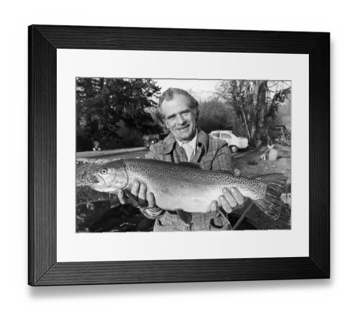 Framed Print : Sam Holland proudly holding one of his specially bread super trouts at his fishery Framed Print : Sam Holland proudly holding one of his specially bread super trouts at his fishery