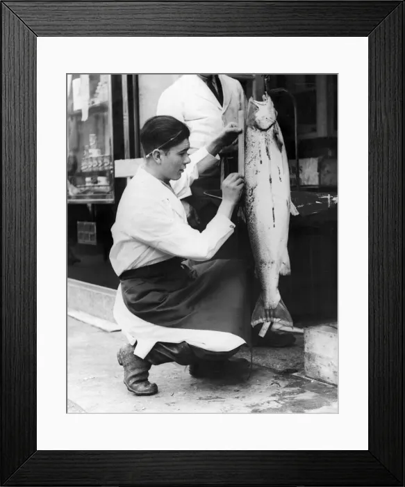 Framed Print : Caught off Southend this 27 pound Salmon is being weighed Framed Print : Caught off Southend this 27 pound Salmon is being weighed
