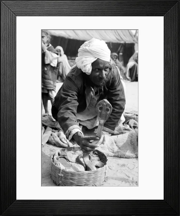 Framed Print : Snake charmers in the market at Poonah. April 1959 Framed Print : Snake charmers in the market at Poonah. April 1959