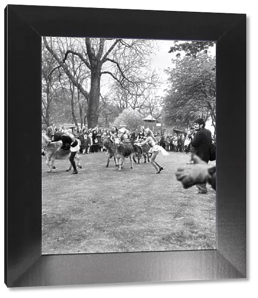 Donkey Derby held for charity at Festival Gardens. April 1972 72-04585-004