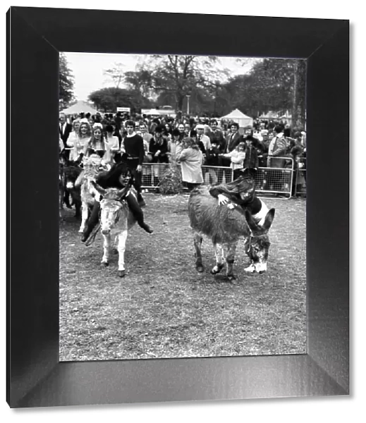 Donkey Derby held for charity at Festival Gardens. April 1972 72-04585-008