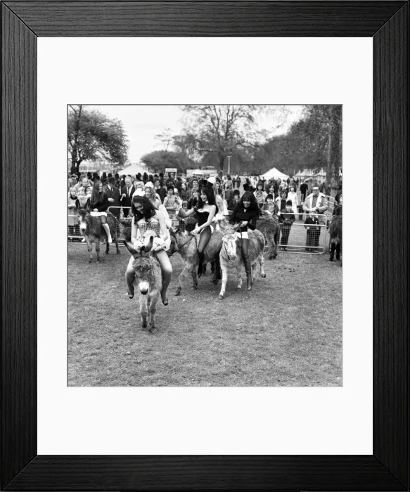 Framed Print : Donkey Derby held for charity at Festival Gardens. Bunny girls Framed Print : Donkey Derby held for charity at Festival Gardens. Bunny girls