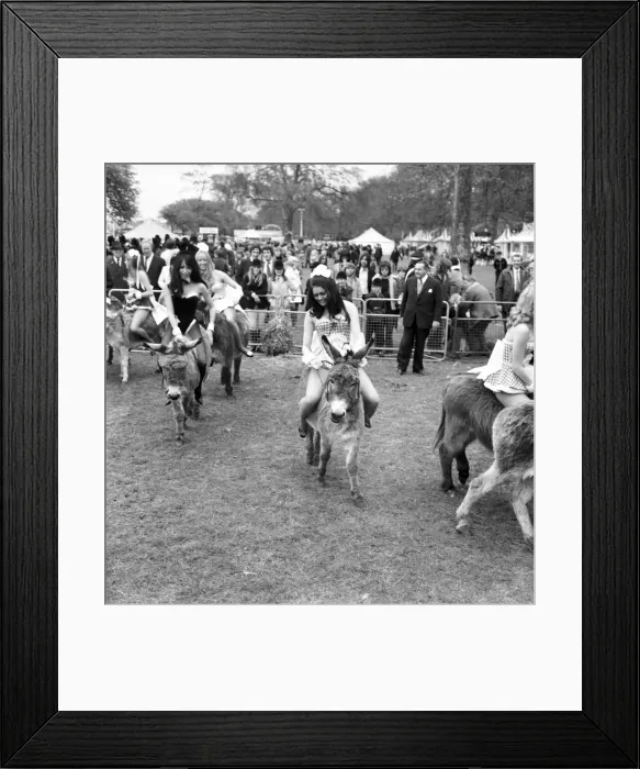Framed Print : Donkey Derby held for charity at Festival Gardens. April 1972 72-04585-001