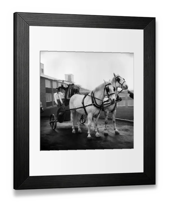 Framed Print : Freddie Trueman with Saxon helmet and spear urging the horses and chariot to get going Framed Print : Freddie Trueman with Saxon helmet and spear urging the horses and chariot to get going