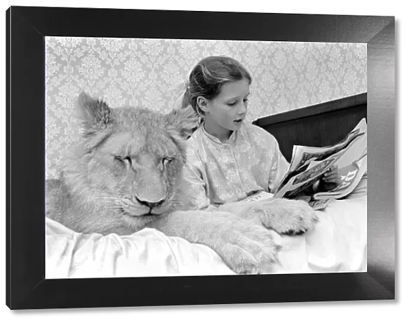 'Leonie'the Lioness. Leonie is the favourite pet of the youngest daughter of