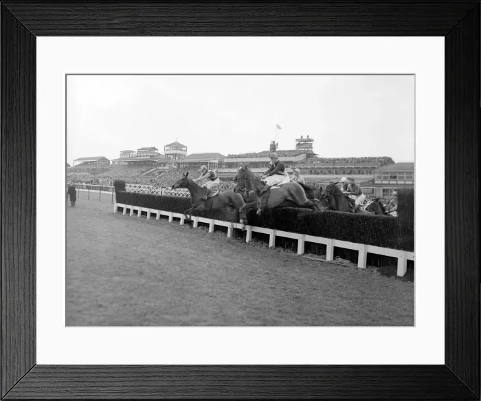 Framed Print : National Hunt Meeting at Cheltenham. Horses take the second jump with the Grandstand in Framed Print : National Hunt Meeting at Cheltenham. Horses take the second jump with the Grandstand in