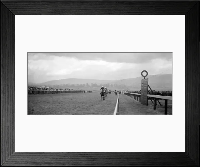 Framed Print : Cheltenham Festival 1956. The Horse Segnor IV, coming in first in the National juvenile Framed Print : Cheltenham Festival 1956. The Horse Segnor IV, coming in first in the National juvenile
