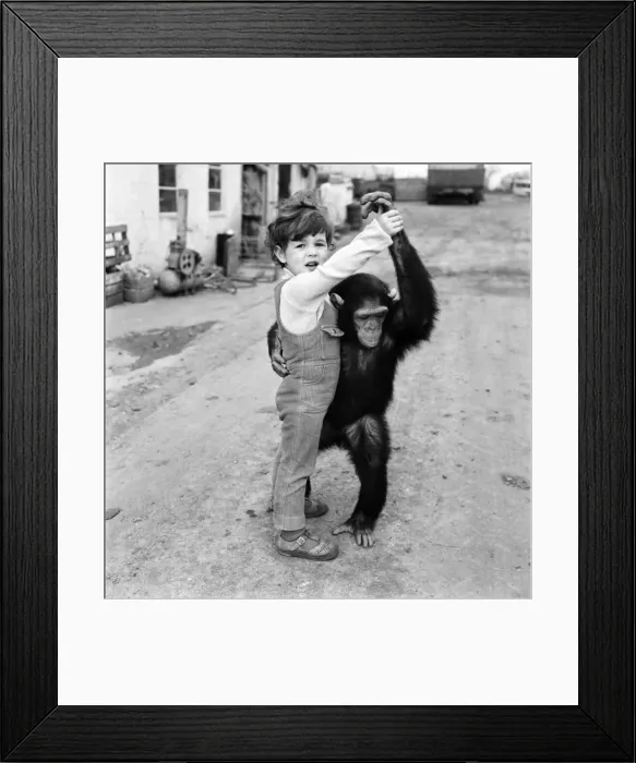 Framed Print : Sparky and Friend: Because she was born on Bonfire night, two years ago Framed Print : Sparky and Friend: Because she was born on Bonfire night, two years ago