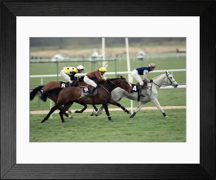 Framed Print : Desert Orchid out in front during the Cheltenham Gold Cup race 15th March 1990