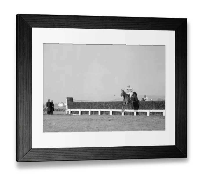 Framed Print : 1956 Cheltenham Gold Cup. No. 1 Limber Hill and jockey J Power taking a fence on his way Framed Print : 1956 Cheltenham Gold Cup. No. 1 Limber Hill and jockey J Power taking a fence on his way