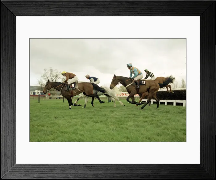 Framed Print : Racehorse Desert Orchid during the Cheltenham Gold Cup race 15th March 1990 Framed Print : Racehorse Desert Orchid during the Cheltenham Gold Cup race 15th March 1990