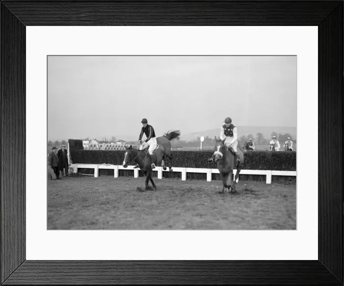 Framed Print : Cheltenham Festival 1956. The last jump of The National Steeplechase Framed Print : Cheltenham Festival 1956. The last jump of The National Steeplechase