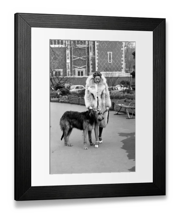 Framed Print : Girl and Dog in Curlers. Model Victoria Burgyne and Irish Wolf Hound Jasper
