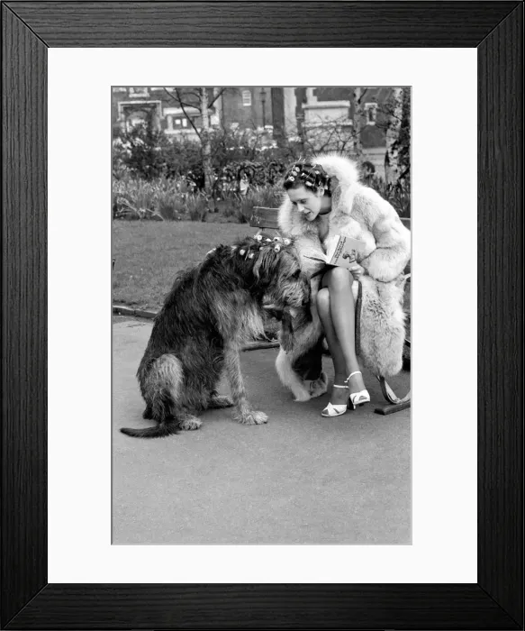 Framed Print : Girl and Dog in Curlers. Model Victoria Burgyne and Irish Wolf Hound Jasper Framed Print : Girl and Dog in Curlers. Model Victoria Burgyne and Irish Wolf Hound Jasper