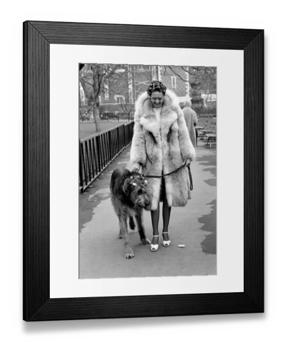 Framed Print : Girl and Dog in Curlers. Model Victoria Burgyne and Irish Wolf Hound Jasper
