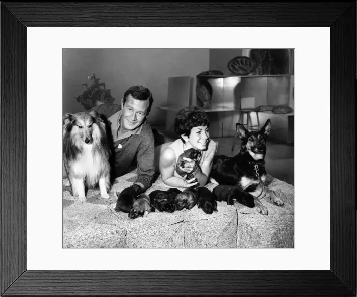 Framed Print : 28yr. Old Valerie Singleton and Christopher Trace presenters of Blue Peter Framed Print : 28yr. Old Valerie Singleton and Christopher Trace presenters of Blue Peter