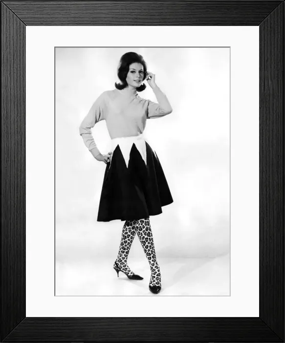 Framed Print : Clothing Misc. 1965: Gloria James modelling sweater, two tone skirt with animal print Framed Print : Clothing Misc. 1965: Gloria James modelling sweater, two tone skirt with animal print