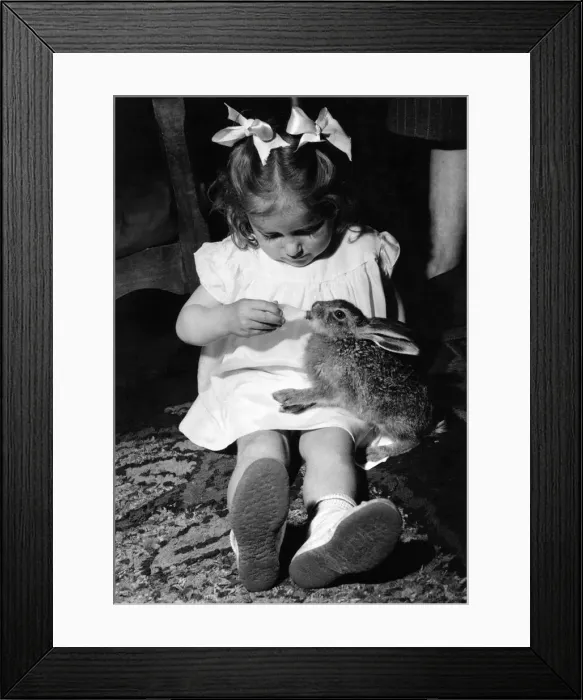 Framed Print : Hare Raising: Heres a hare-raising story thats true Framed Print : Hare Raising: Heres a hare-raising story thats true