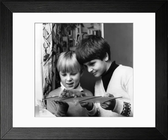Framed Print : 7 years old Mare Swallow, left and his friend Christopher Rock with Sandy