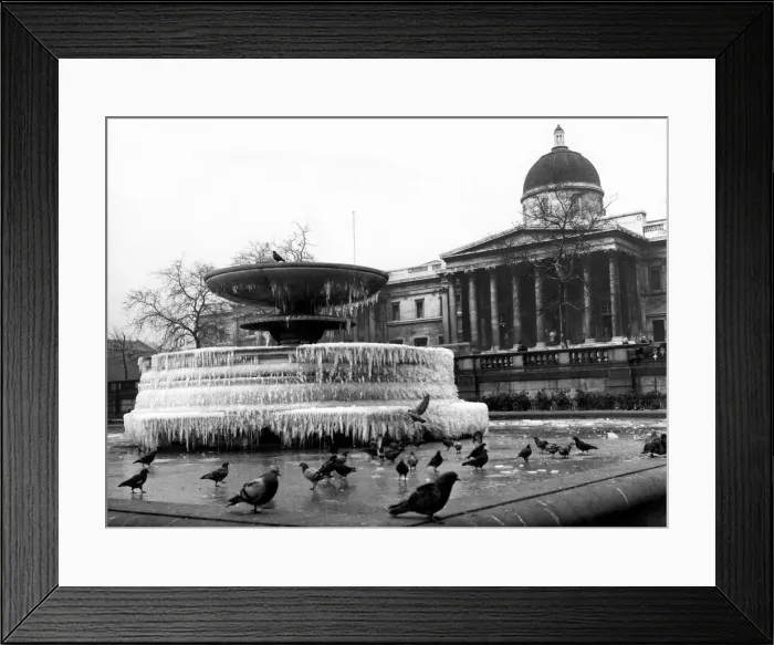 Framed Print : The frozen fountains in Trafalgar Square. January 1963 P005085 Framed Print : The frozen fountains in Trafalgar Square. January 1963 P005085