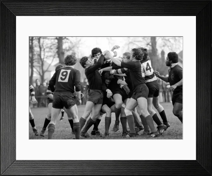 Framed Print : Rugby: The rugby union match. Saracens vs. Cardiff. February 1975 75-01042-003 Framed Print : Rugby: The rugby union match. Saracens vs. Cardiff. February 1975 75-01042-003
