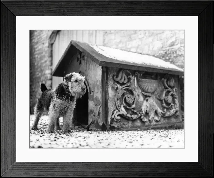 Framed Print : Preseved for Posterity, The Stately Dog Kennel: Today, this dog kennel occupies a special