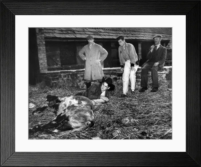 Framed Print : On an exchange visit to Britain arranged by the Young Farmers Federation two of Framed Print : On an exchange visit to Britain arranged by the Young Farmers Federation two of