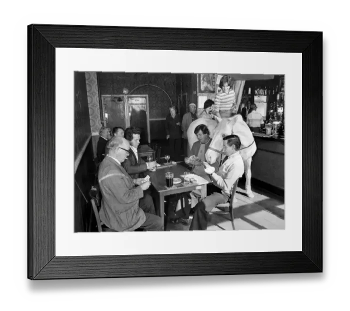 Framed Print : Animals Horses. October 1978 P004867
