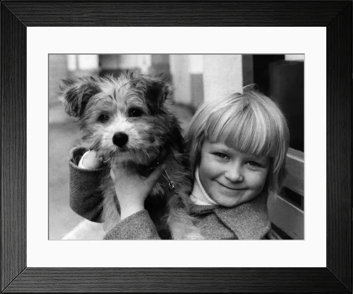 Framed Print : Togetherness for Scamp the dog and his new mistress Katy. January 1950 P006089