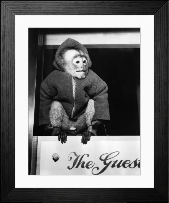 Framed Print : A tiny figure in a blue woollen tracksuit was found forlorn Framed Print : A tiny figure in a blue woollen tracksuit was found forlorn