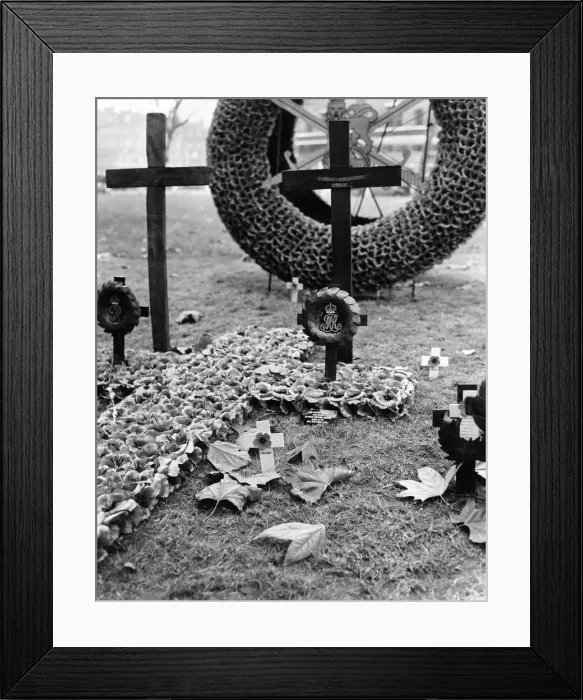 Framed Print : Many People visited the empire field of remembrance in St Framed Print : Many People visited the empire field of remembrance in St