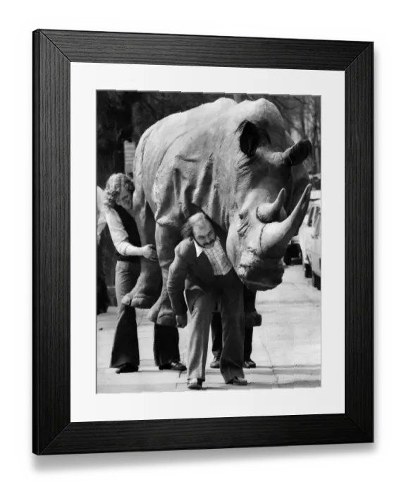 Framed Print : On Safari in London': A Rhino was seen running loose in London today Framed Print : On Safari in London': A Rhino was seen running loose in London today