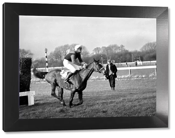 Sport: Horseracing. Racing at Windsor 'Even Up'. January 1975 75-00284-002