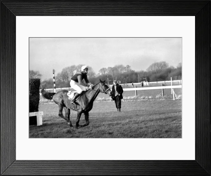 Framed Print : Sport: Horseracing. Racing at Windsor Even Up'. January 1975 75-00284-002 Framed Print : Sport: Horseracing. Racing at Windsor Even Up'. January 1975 75-00284-002