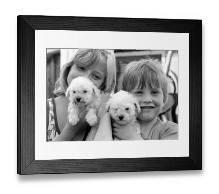 Framed Print : A young boy and girl with terrier puppiesy at the Frant Kennels in Hildenborough near Framed Print : A young boy and girl with terrier puppiesy at the Frant Kennels in Hildenborough near