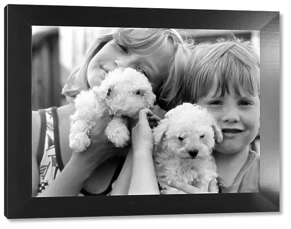 A young boy and girl with terrier puppiesy at the Frant Kennels in Hildenborough near