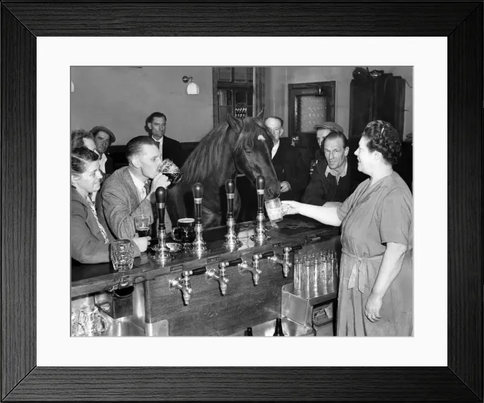 Framed Print : Dixie the performing pony has a drink with the locals at the pub