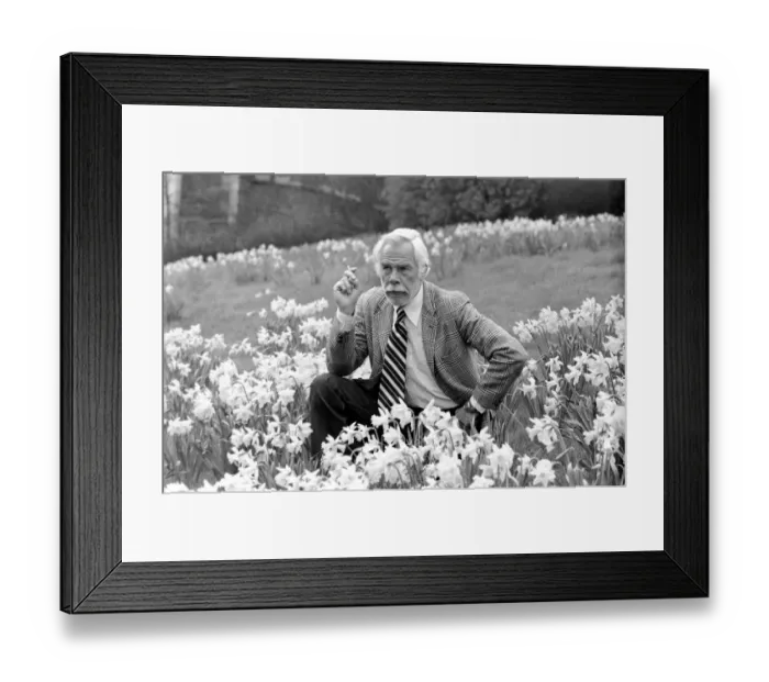 Framed Print : American actor Lee Marvin smelling the spring flowers during a visit to England Framed Print : American actor Lee Marvin smelling the spring flowers during a visit to England
