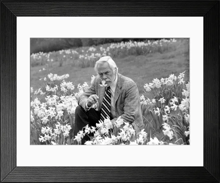 Framed Print : American actor Lee Marvin smelling the spring flowers during a visit to England Framed Print : American actor Lee Marvin smelling the spring flowers during a visit to England