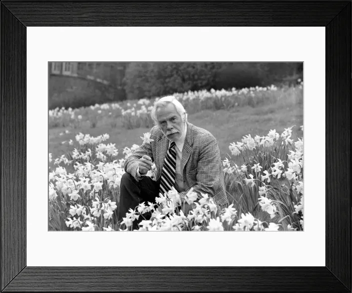 Framed Print : American actor Lee Marvin smelling the spring flowers during a visit to England Framed Print : American actor Lee Marvin smelling the spring flowers during a visit to England