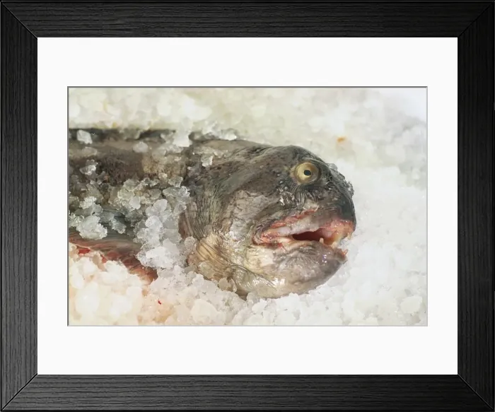Framed Print : A series of pictures which show water from source, in a reservior, to tap - a fish in ice Framed Print : A series of pictures which show water from source, in a reservior, to tap - a fish in ice