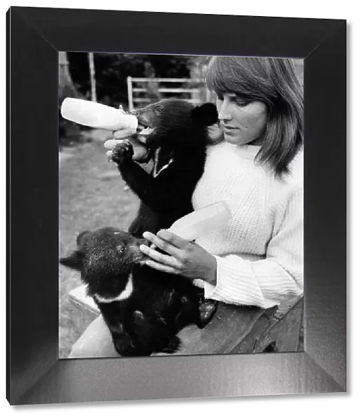 Beth Reed with Tinker and Tucker, the yound bear cubs and her pet Great Dane Rio