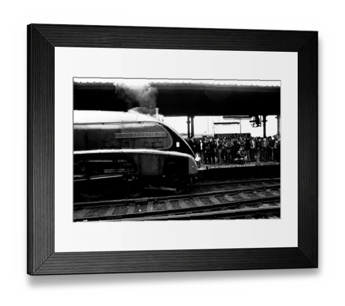 Framed Print : Wowing the platform crowd at Newcastle Central station is Gresley streamlined A4 pacific