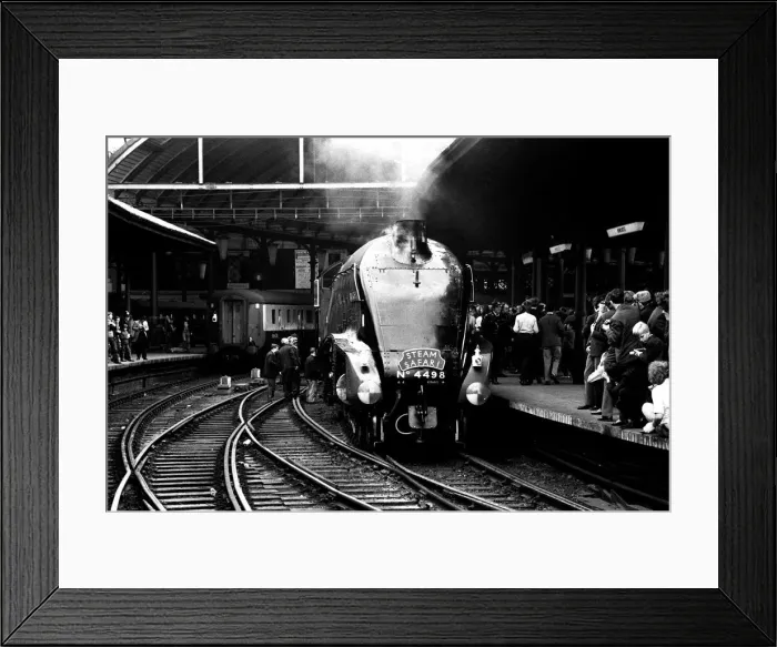 Framed Print : One of Britains fastest steam locomotives the Sir Nigel Gresley stops Framed Print : One of Britains fastest steam locomotives the Sir Nigel Gresley stops