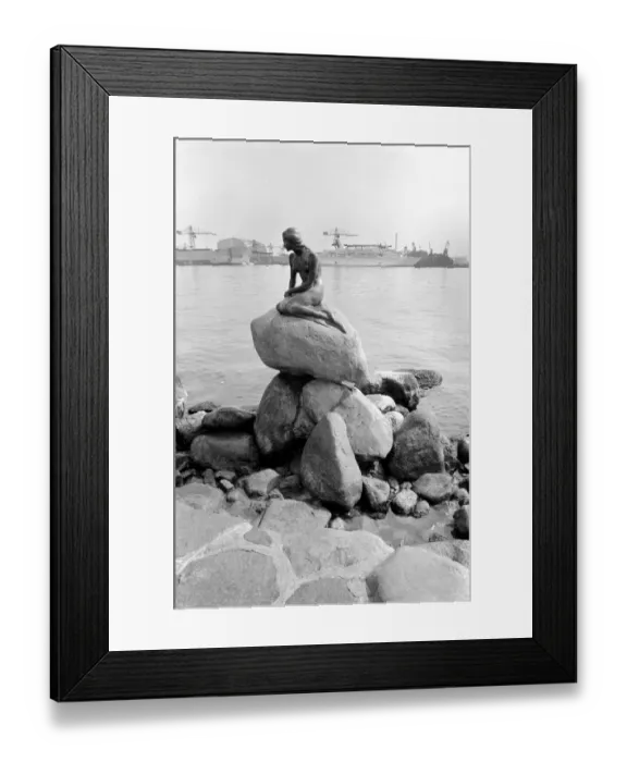 Framed Print : The statue of the Little Mermaid guards the entrance to the port of Copenhagen May