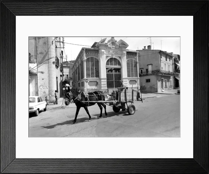 Framed Print : Village scenes around the ancient streets of Poussan, France where carts are still horse Framed Print : Village scenes around the ancient streets of Poussan, France where carts are still horse
