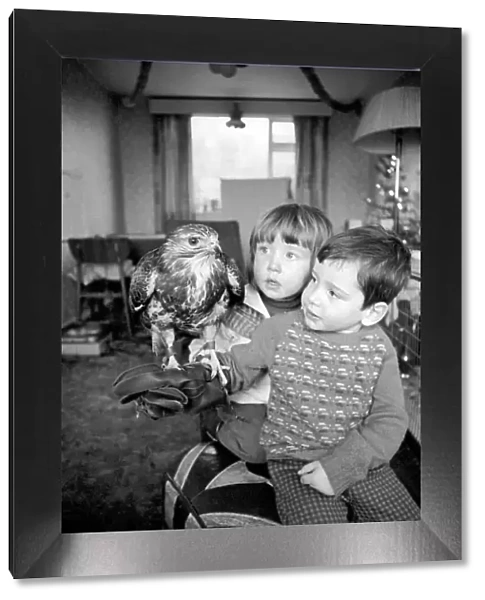 Animal  /  pet  /  unusual. Children with Buzzard. December 1970 71-00012-002
