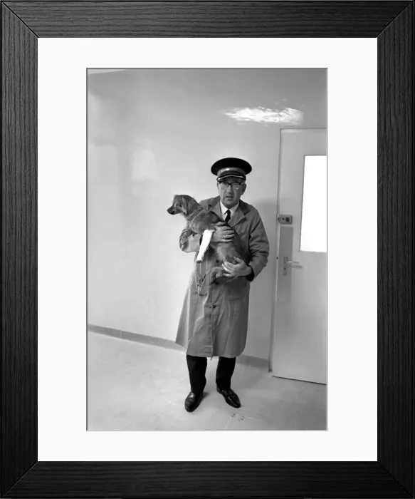 Framed Print : Battersea dogs home opens new wing. June 1970 70-5895-002
